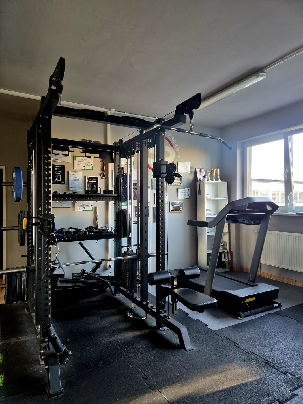 3pgym_20241125_121517