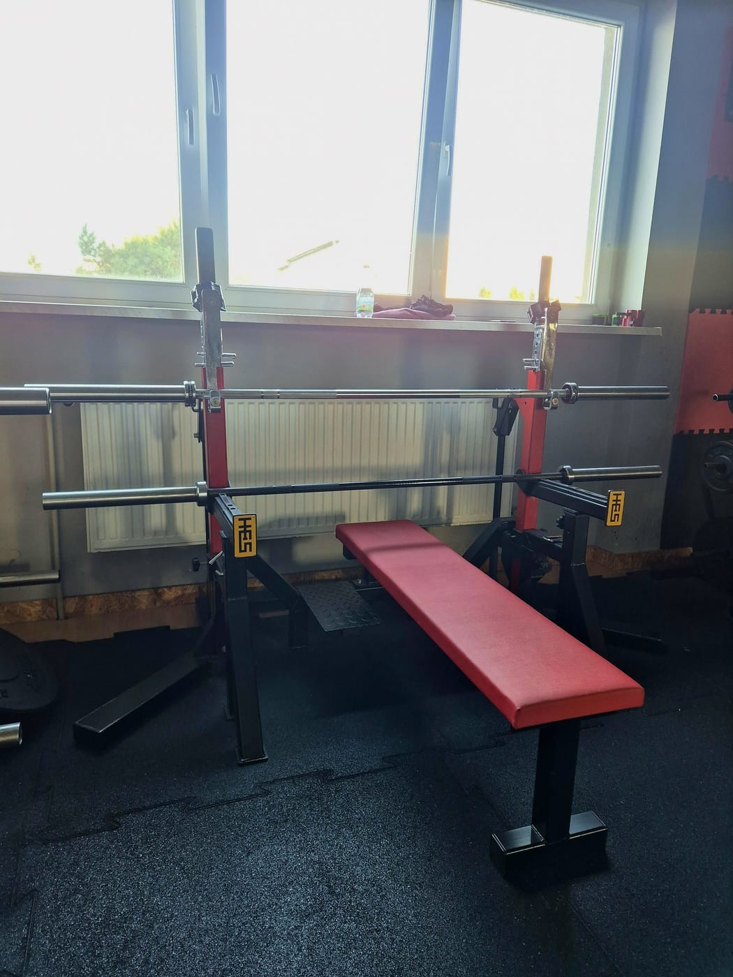 3pgym_20241125_121608