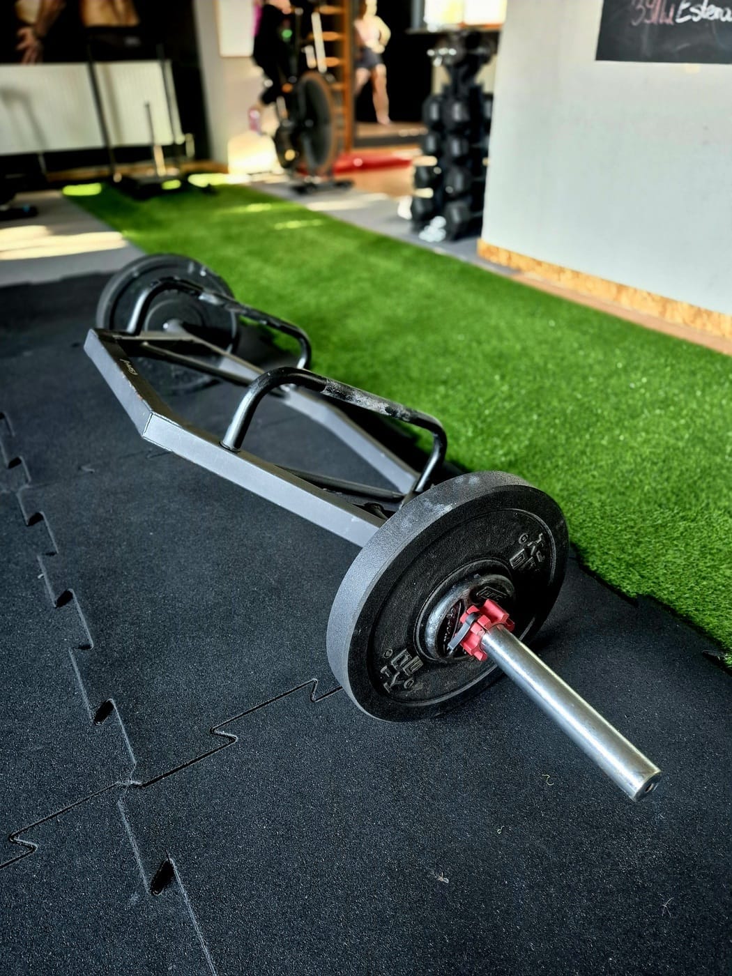 3pgym_20241125_121636