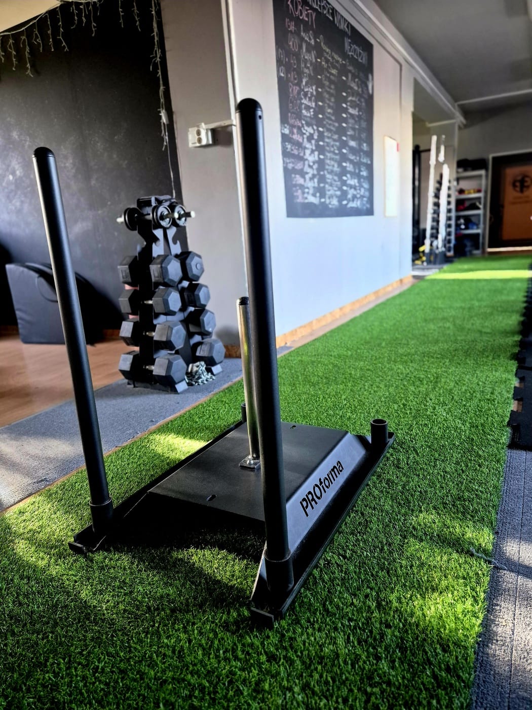 3pgym_20241125_121749