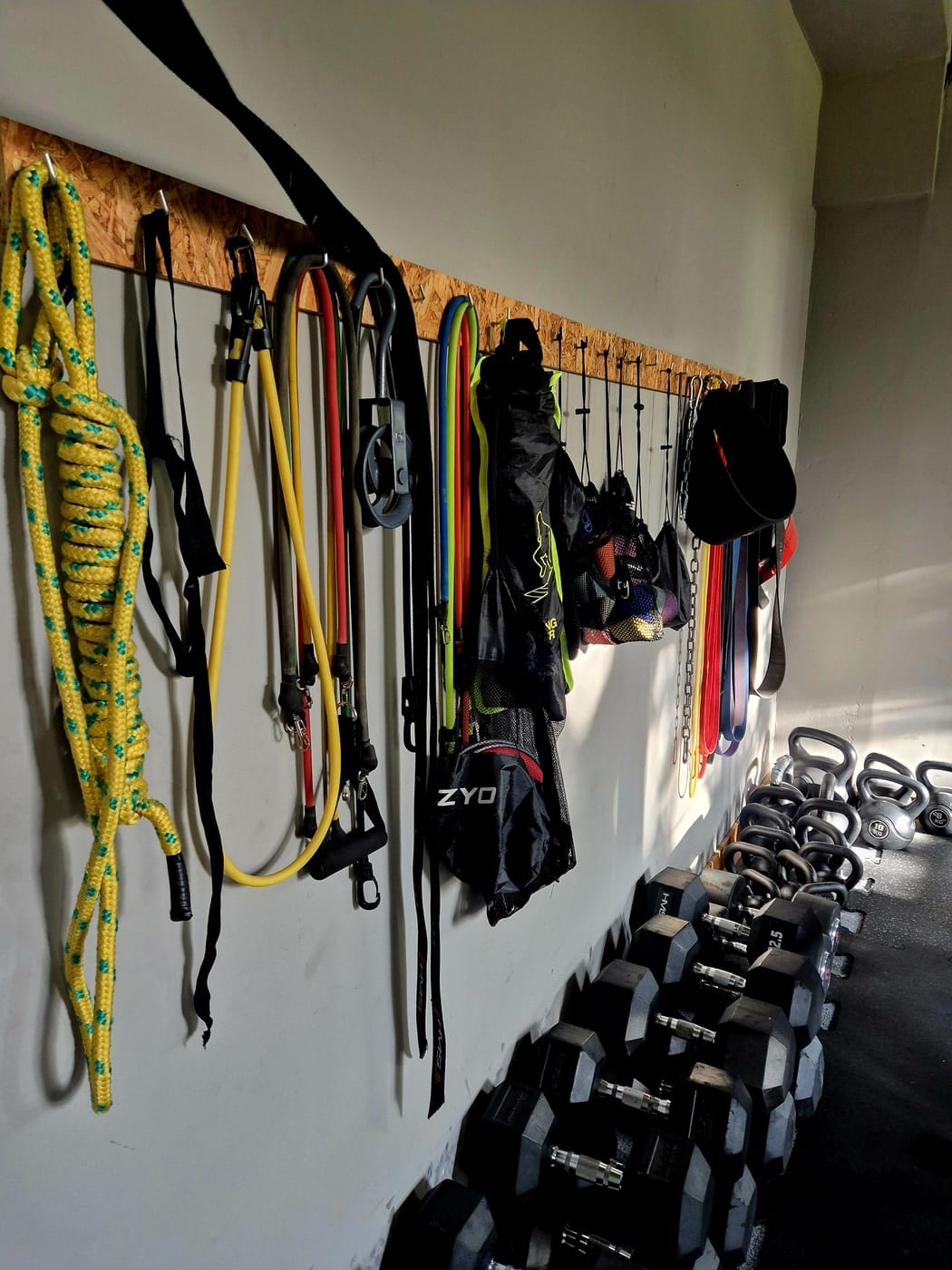 3pgym_20241125_121831