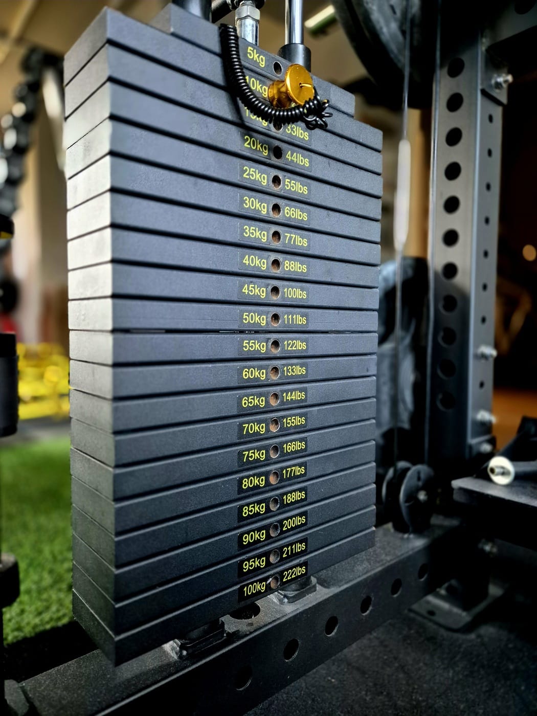 3pgym_20241125_141612