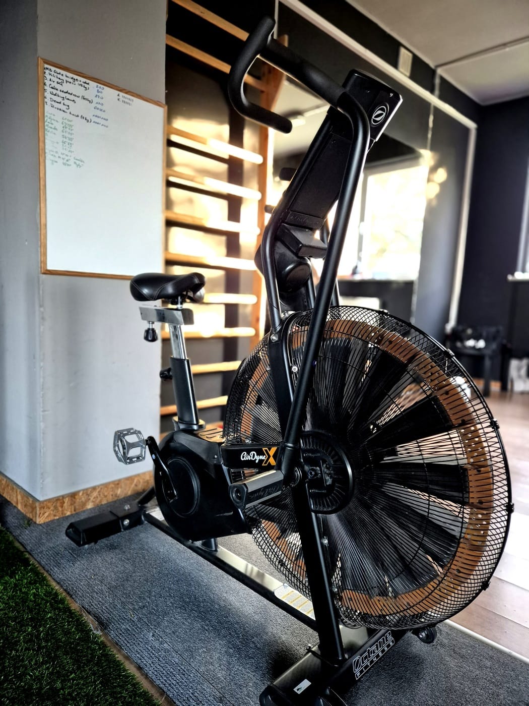 3pgym_20241125_143648