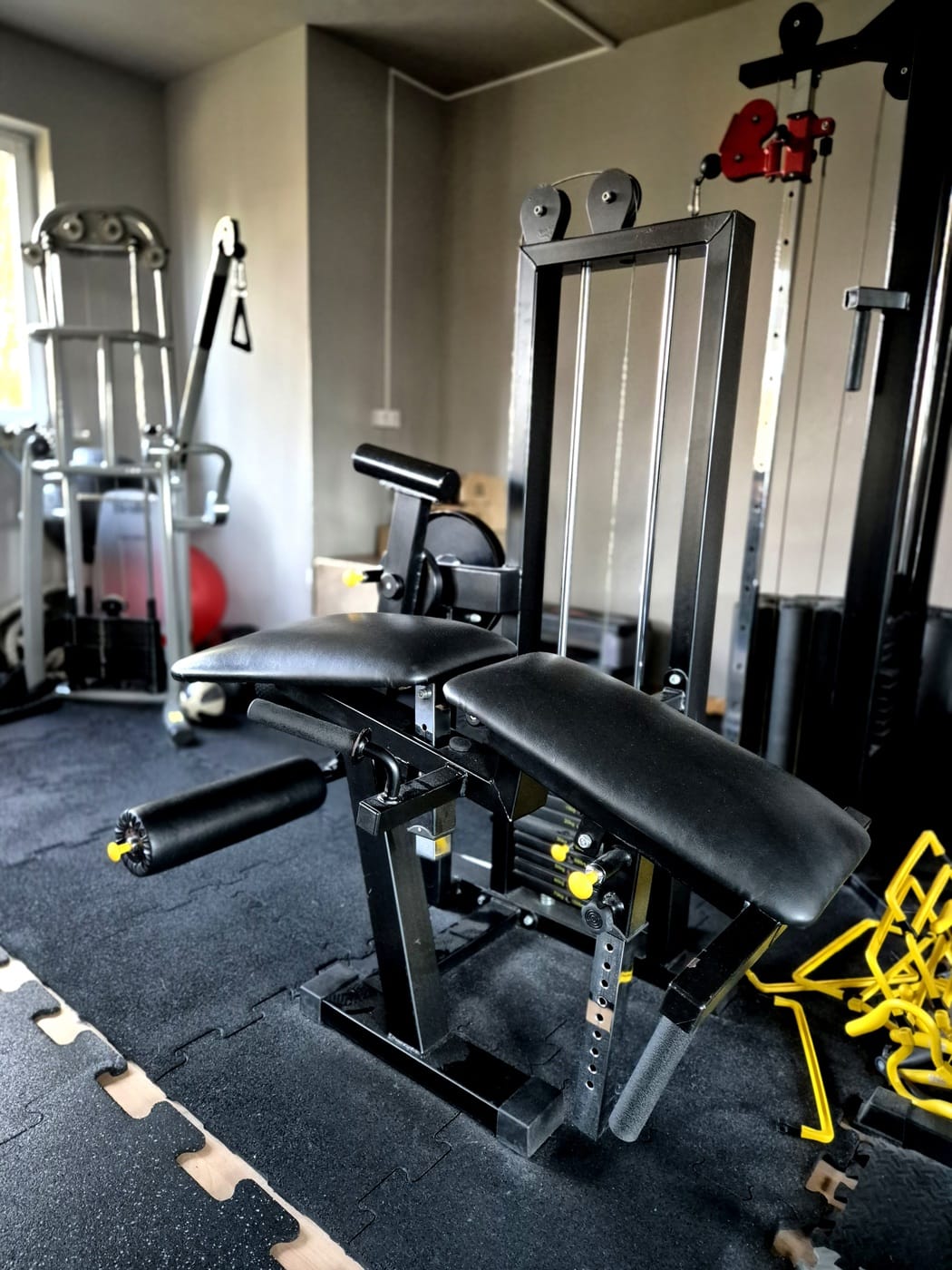 3pgym_20241125_144049