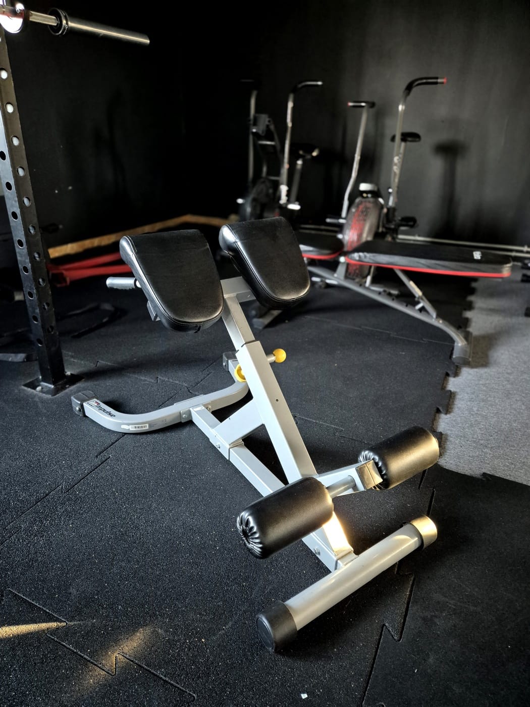 3pgym_20241125_144155